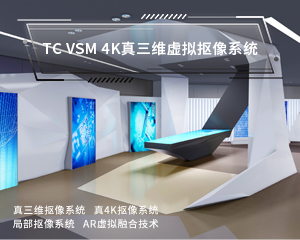VSM虛擬真三維